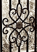 Wall_Art_Alphabet_Photography_Art_ 1603